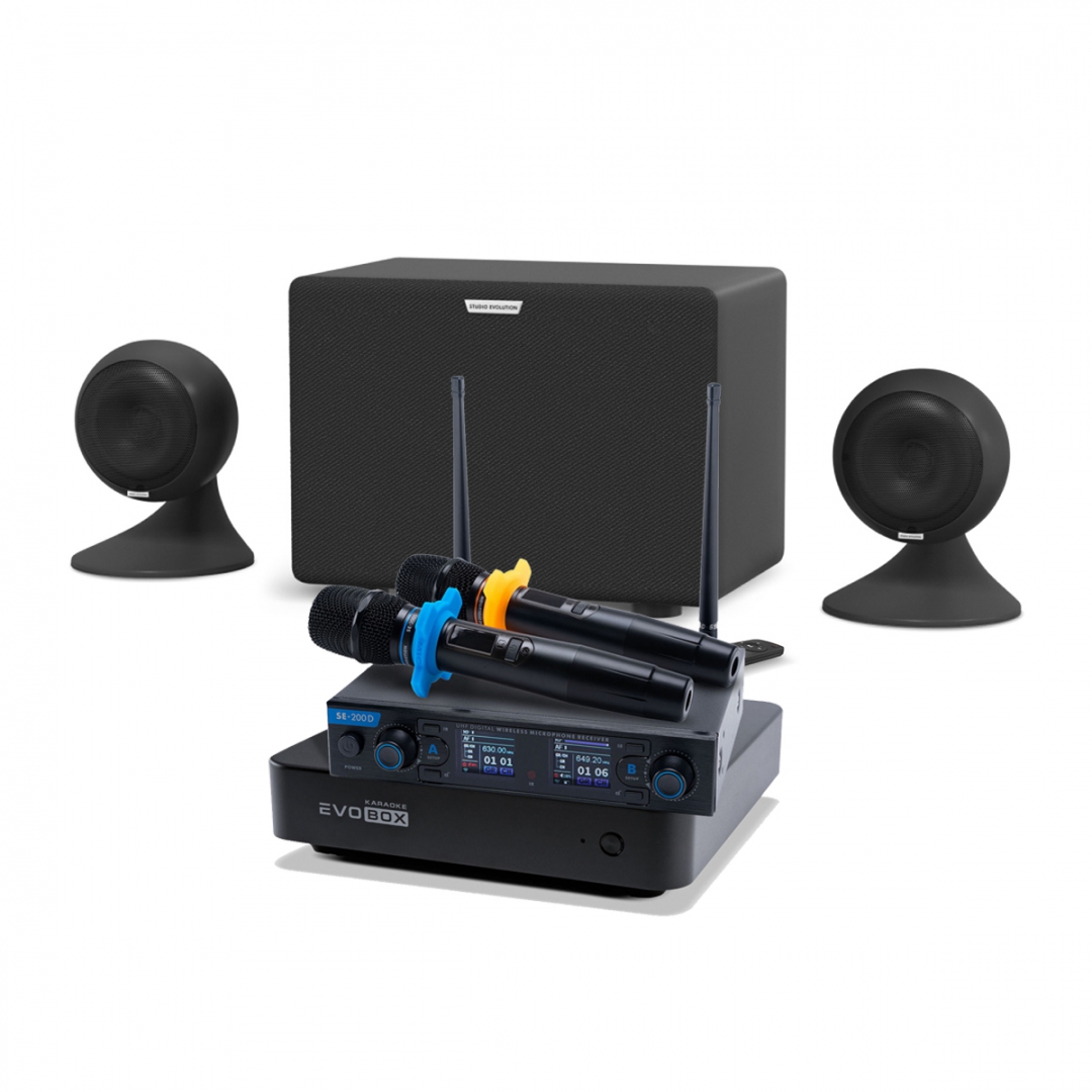 караоке-комплект EVOBOX + EvoSound Sphere 2.1 в Грязовеце