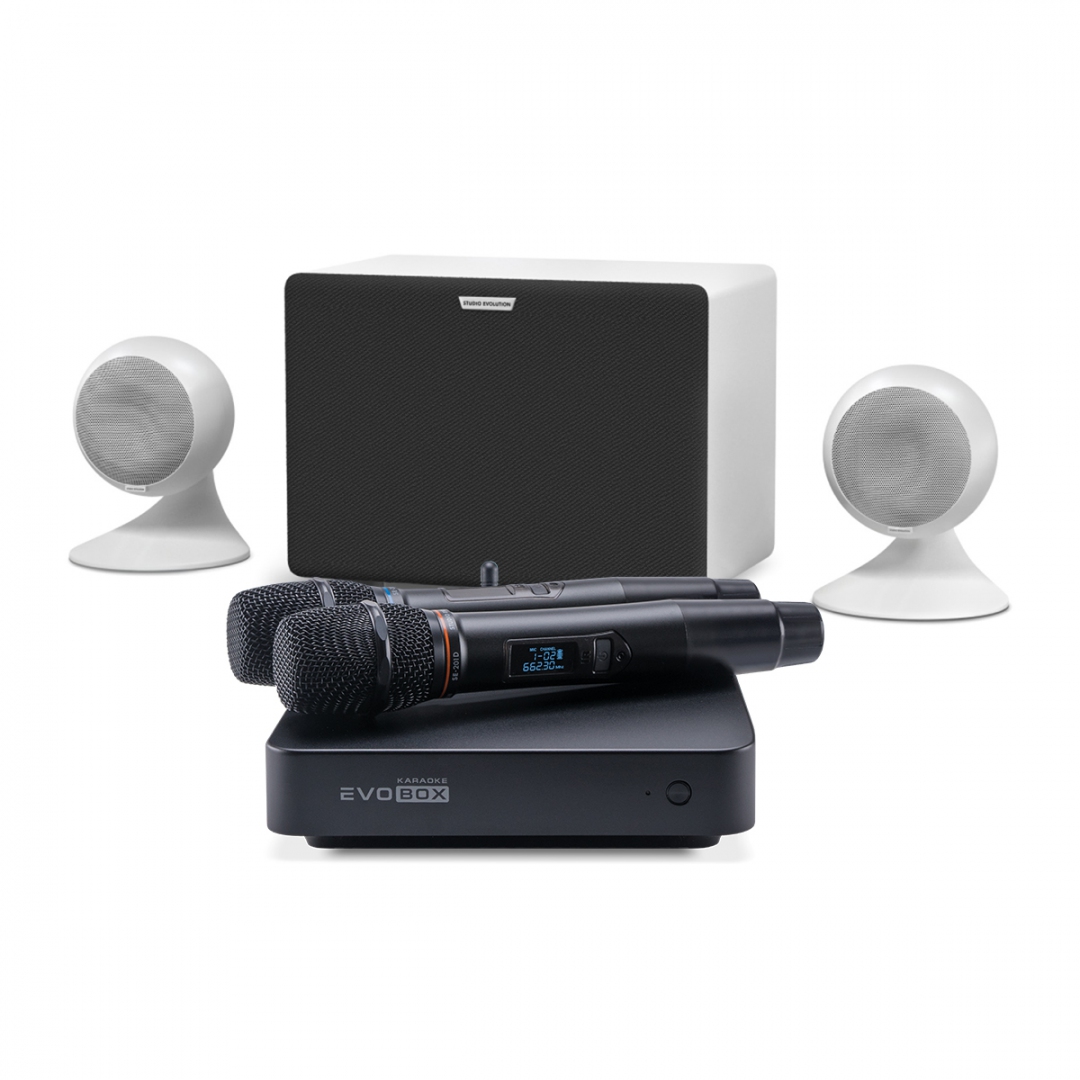 караоке-комплект EVOBOX Classic + EvoSound Sphere 2.1 в Грязовеце