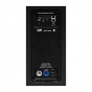 Активная акустическая система AST-310A в Грязовеце