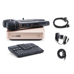 EVOBOX Classic караоке-система для дома в Грязовеце